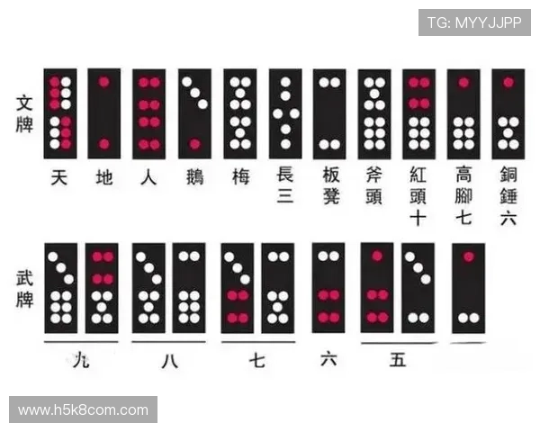 牌九最佳策略全面解析帮助玩家提升胜率的实用技巧指南